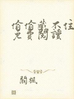 偷偷藏不住小说免费阅读封面