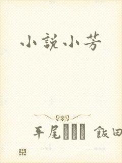 小说小芳