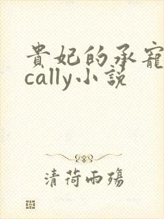 贵妃的承宠日常cally小说封面