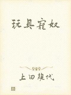 玩具宠奴