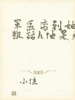 军区脔到她哭h粗话h他是疯批封面