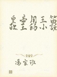 皇帝用玉笛整摄政王的小说封面