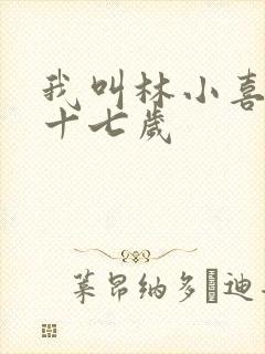 我叫林小喜今年十七岁