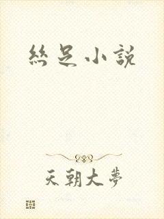 丝足小说封面
