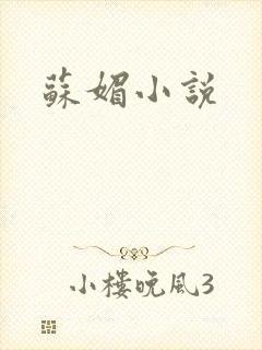 苏媚小说