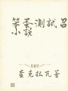 笨蛋测试召唤兽小说