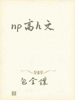 np高h文