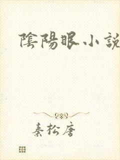 阴阳眼小说