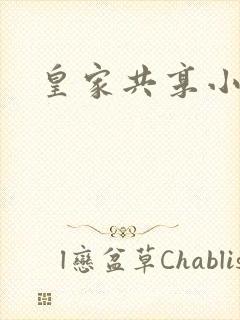 皇家共享小公主