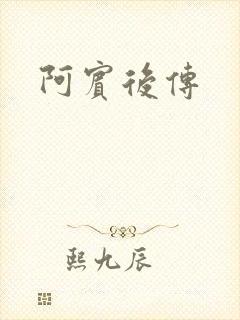 阿宾后传