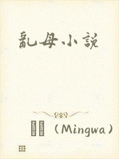 乱母小说