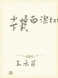 少妇白洁txt下载