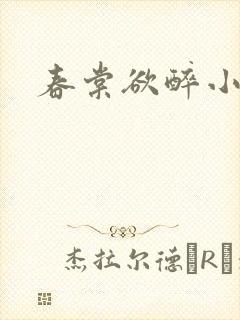 春棠欲醉小说