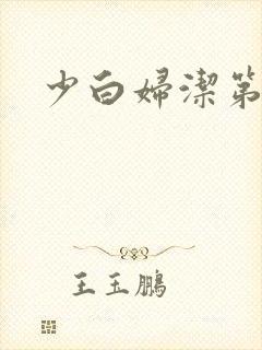 少白妇洁第二部封面
