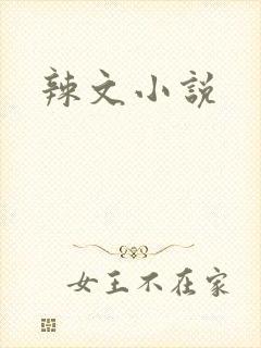 辣文小说