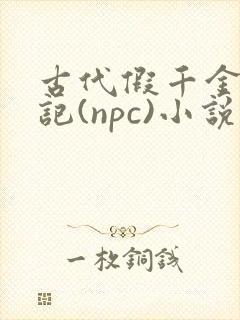 古代假千金挨日记(npc)小说