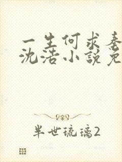 一生何求秦菲雪沈浩小说免费阅读全文封面