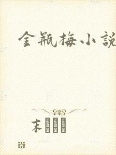 金瓶梅小说下载