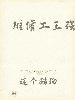 维修工王强张婷