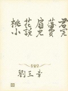 桃花扇落君不还小说免费完整版封面