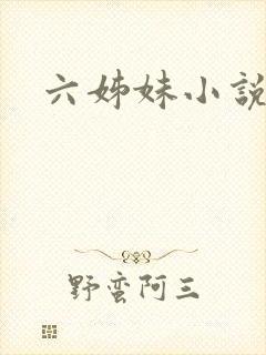 六姊妹小说封面