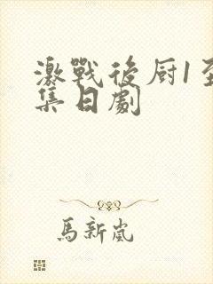 激战后厨1至5集日剧