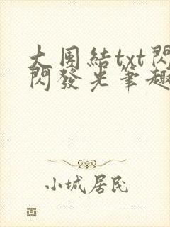 大团结txt闪闪发光笔趣阁
