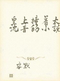 皇上撞着太子妃沈音的小说叫什么封面