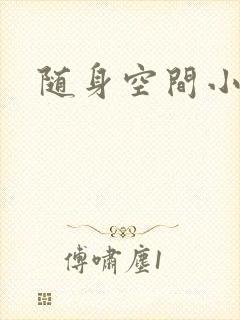 随身空间小说