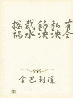 总裁的私有宝贝祸水泱泱全文阅读
