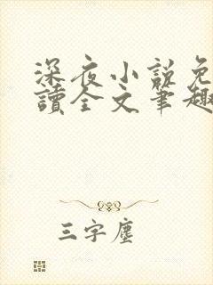 深夜小说免费阅读全文笔趣阁封面