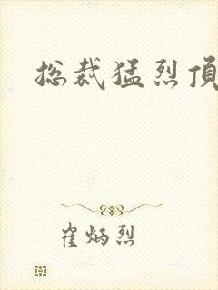 总裁猛烈顶弄h