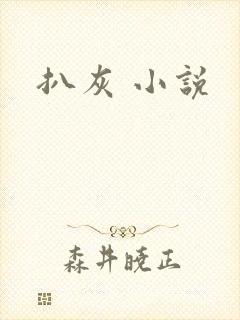 扒灰 小说封面