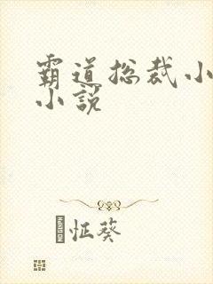 霸道总裁小娇妻小说封面