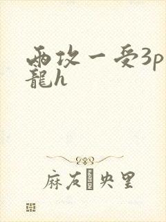 两攻一受3p双龙h封面