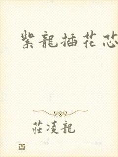 紫龙插花芯封面