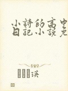 小诗的高中成长日记小说免费阅读