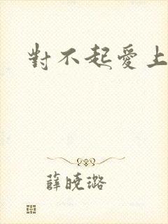 对不起爱上你