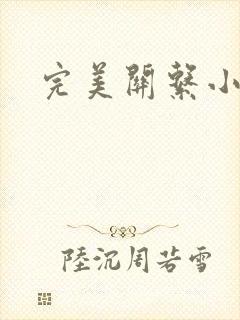 完美关系小说