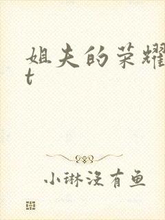 姐夫的荣耀txt