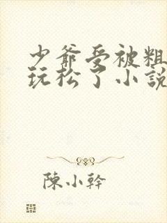 少爷受被粗汉H玩松了小说封面