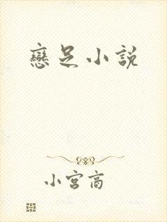 恋足小说
