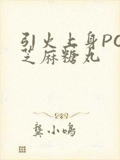 引火上身POP芝麻糖丸