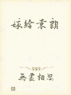 嫁给袁朗