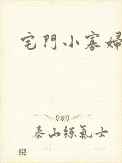 宅门小寡妇