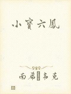 小宝六凤封面