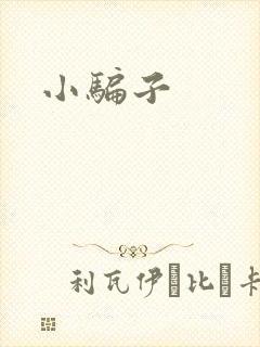 小骗子