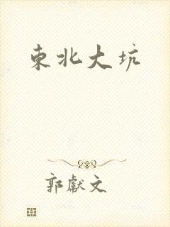 东北大坑封面