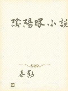 阴阳眼小说