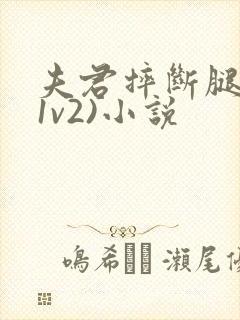 夫君摔断腿后(1v2)小说